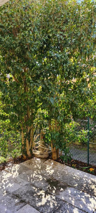 Jasmine Country House Vicenza Bagian luar foto